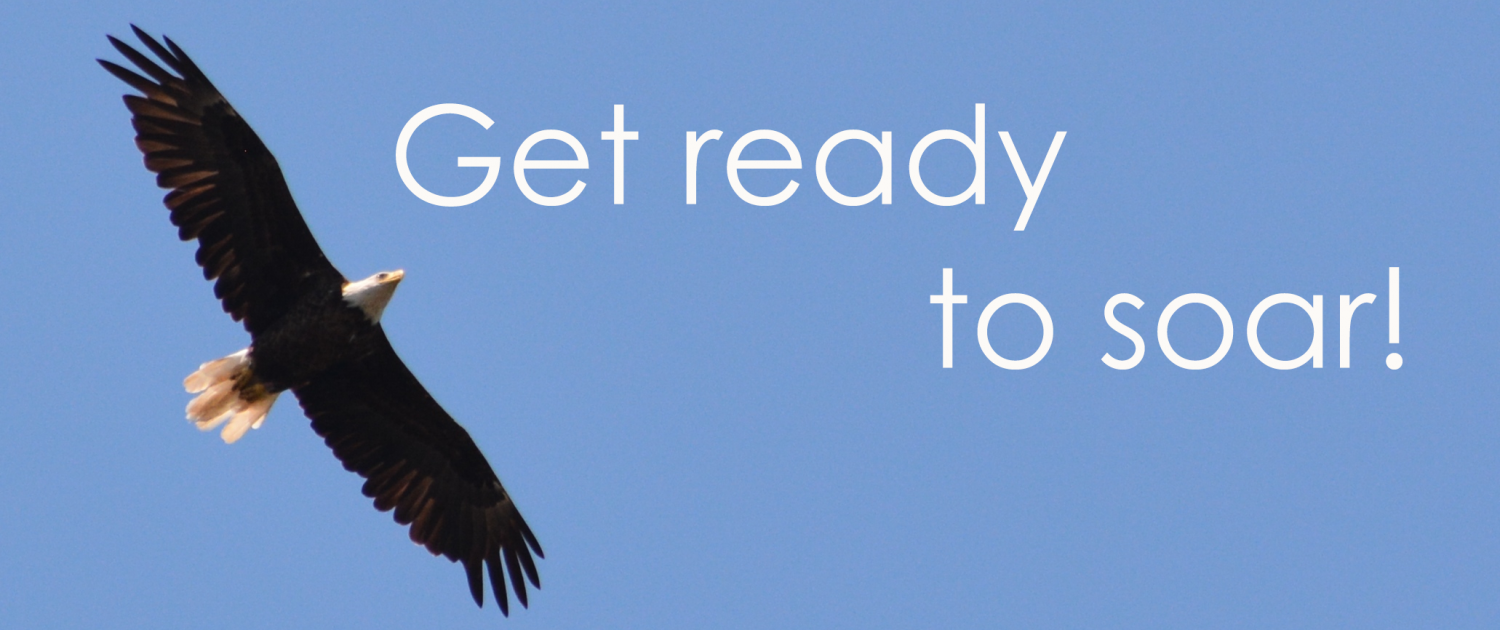 soar1